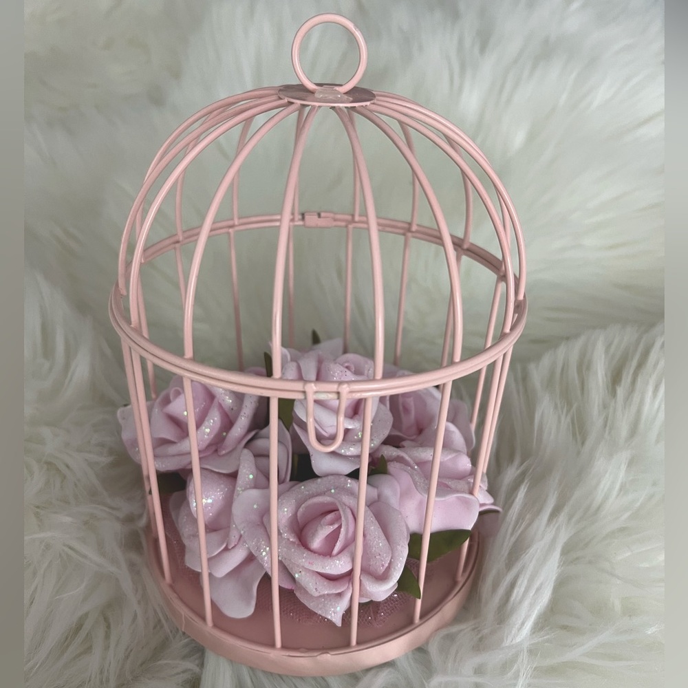 Pink birdcage